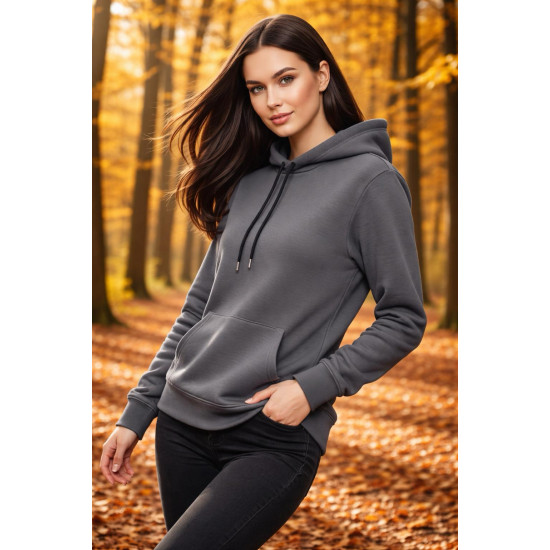 Üç İplik Şardonlu Hoodie  Sweatshirt Gri